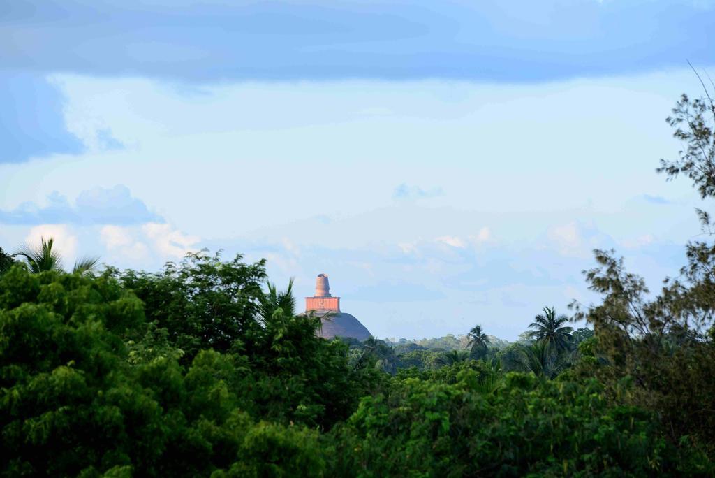 أنرادابورام Sacred City Tourist Resort المظهر الخارجي الصورة